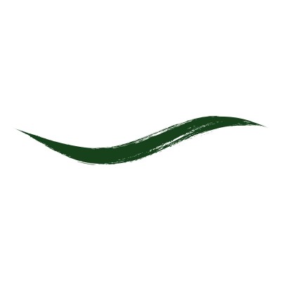 ARMAF BEAUTE DIP-IN LIQUID EYELINER - EMERALD