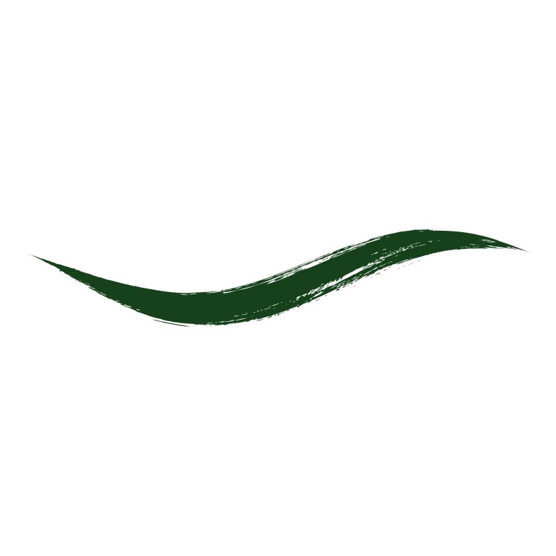 ARMAF BEAUTE DIP-IN LIQUID EYELINER - EMERALD