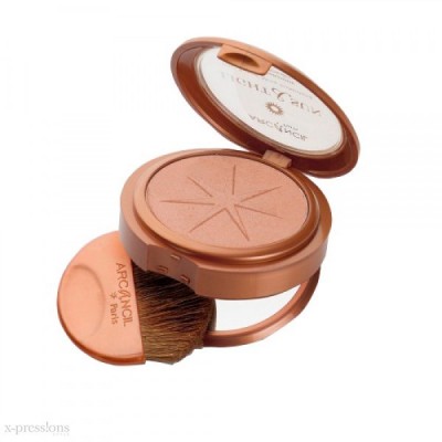 Light & Sun Bronzing Powder