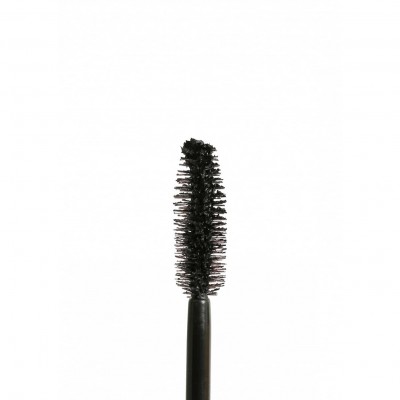 WILD VOLUME MASCARA- ARCANCIL