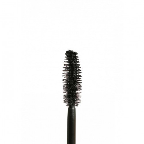 WILD VOLUME MASCARA- ARCANCIL