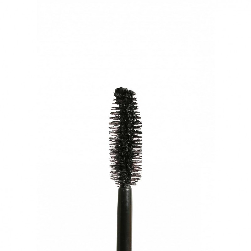 WILD VOLUME MASCARA- ARCANCIL
