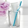 Aqua Toothbrush/Paste Holder-Small